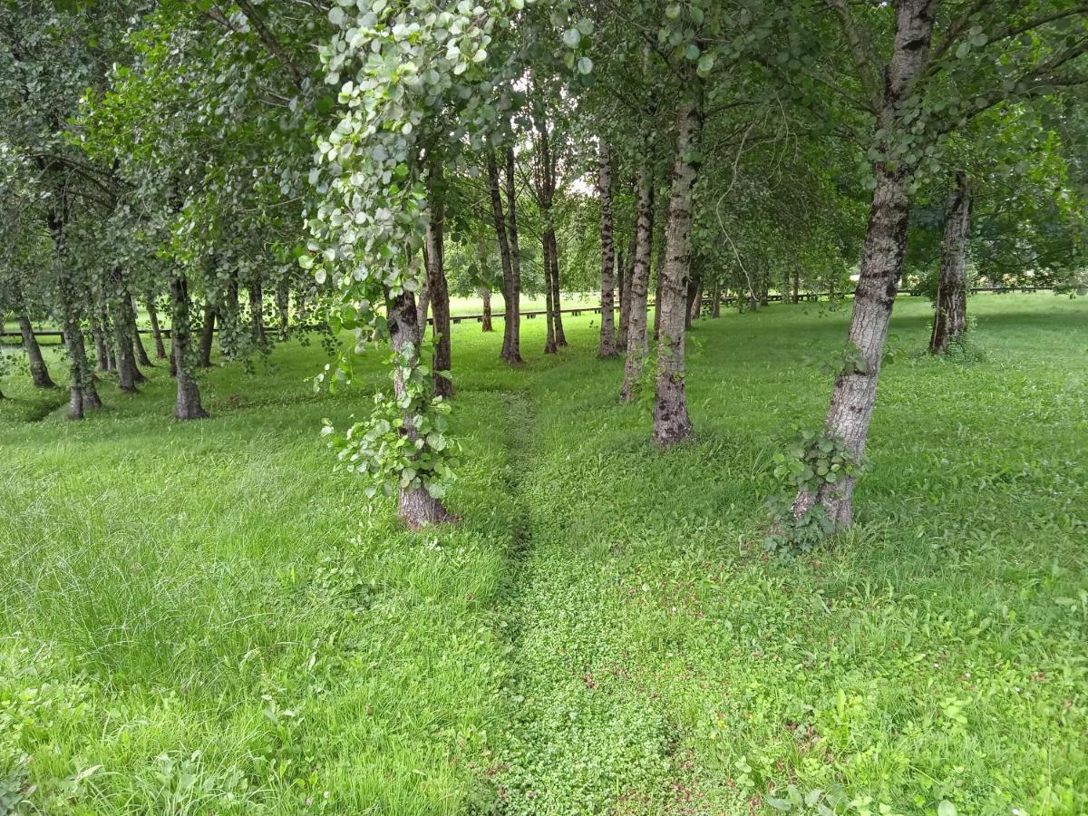 Apartamento Turistico Rural Casa Chain Lugo Εξωτερικό φωτογραφία